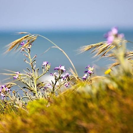 Ferme Marine Pour 4 - Piscine Chauffee Villa Brétignolles-sur-Mer Eksteriør billede